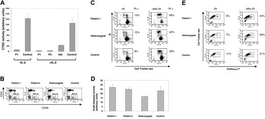 Figure 1. Cathepsin C is not required for granzyme B activation and cytolytic function in IL-2-activated NK cells. (A) Cathepsin C (CTSC) activity in unstimulated and IL-2-stimulated NK cells from the PLS patients (P1 and P2), heterozygote (Het), and healthy control. Hydrolysis of the colorimetric substrate Gly-Phe-pNA14 is expressed as arbitrary units of activity (based on absorbance at 405 nm). The activity observed in the patient samples is equivalent to the background absorbance of lysate alone. Each reaction contained lysate from 6 × 105 cells and were performed in triplicate; standard deviation is shown. (B) Flow cytometric analysis of CD3neg, CD56dim (dim), and CD56bright (br) NK cell subsets20 in PLS patients 1 and 2, the heterozygote, and a healthy control. (C) Cytolytic activity of IL-2-activated NK cells from PLS patient 1, heterozygote, and healthy control. CellTracker Green-labeled K562 target cells were cocultured with IL-2-activated NK cells at an E/T ratio of 2:1 (2 × 105 cells in 200 μL) for 5 hours at 37°C. Propidium iodide (PI) staining is shown at 0 hours and after 5 hours of coculture. Zero-hour time points were incubated at the same cell density but were not mixed until the 5 hours' time point. Dead or dying cells are detected as a PI+, CellTracker Green+ population by flow cytometry. The percentage of target cells in this gate is shown. This experiment is representative of 3 independent experiments and has been confirmed in patient 2 (data not shown). (D) Granzyme B activity in IL-2-activated NK cells from PLS patients, heterozygote, and healthy control. Activity was measured by hydrolysis of the colorimetric substrate Ac-IEPD-pNA as described.15 Each reaction contained lysate derived from 6 × 105 cells and was performed in triplicate (standard deviation shown); activity is indicated in arbitrary units. Hydrolysis of the substrate was unaffected by the caspase inhibitor z-VAD-fmk (data not shown). (E) Activation of the caspase cascade in K562 cells by IL-2-activated NK cells. The assay was performed as in Figure 1C except that targets were labeled with CellTracker Orange and cocultured with effector cells for 2 hours. Cells were then stained with PhiPhiLux according to the manufacturer and as described.19 Caspase activation results in cleavage of a peptide spacer in PhiPhiLux and increased fluorescence.19 The percentage of cells with increased caspase activity is shown. This experiment is representative of 2 separate experiments and was confirmed using patient 2 (data not shown).
