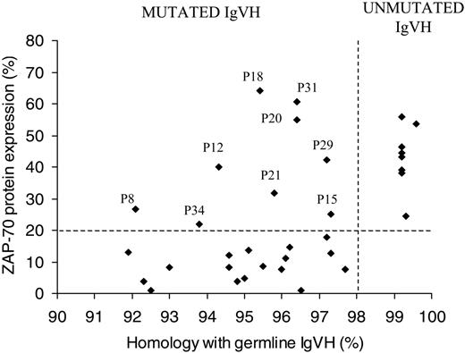 Figure 1. Correlation of ZAP-70 expression with IgVH mutational status. Sixty-five percent of patients with mutated IgVH gene were ZAP-70– as assessed by flow cytometry and 100% of patients with unmutated IgVH genes were ZAP-70+. Twenty-six percent of patients were ZAP-70+ and mutated, of these patients the majority had additional bad prognostic markers (ie, CD38 positivity or unfavorable IgVH gene usage; Table 1).