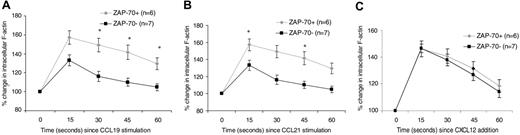 Figure 3. ZAP-70+ CLL cells are more responsive to CCL19 and CCL21, but not CXCL12, when compared with ZAP-70– CLL. CLL B cells were treated for 0, 15, 30, 45, and 60 seconds with 100 ng/mL CCL19 (A), CCL21 (B), or CXCL12 (C). Changes in intracellular F-actin were measured using FITC-labeled phalloidin in CD19, CD5-prelabeled CLL cells. Results are shown as the percent change in intracellular F-actin relative to the level observed in untreated cells. Results for each chemokine are the mean ± SEM of at least 13 independent experiments. Student paired t test; *P < .05.