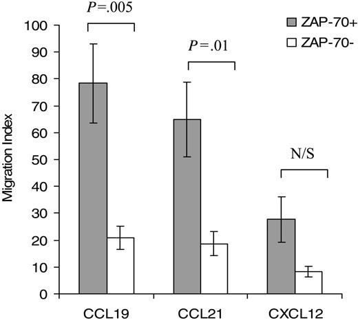 Figure 4. Migration of ZAP-70+ CLL cells toward CCL19 and CCL21, but not CXCL12, is increased when compared with ZAP-70– CLL cells. PB CLL cells were assayed in the bare filter chemotaxis assay for migration in response to CCL19, CCL21 (1 μg/mL), or CXCL12 (100 ng/mL). CLL cell migration is expressed as a migration index as described in “Patients, materials, and methods” under “Chemotaxis assay.” The concentration of the chemokines were those that induced maximal migration.18 Input and transmigrated cells were stained with anti-CD19 and anti-CD5 antibodies to determine the percentages of input CLL B cells that migrated into the lower chambers. Results for each chemokine are the mean ± SEM of 5 independent experiments. Student 2-sample 2-tailed t test. N/S indicates not significant.
