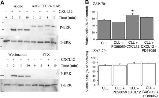 Figure 6. CXCL12-induced ERK activation is inhibited by anti-CXCR4 mAb and PTX but not the PI3K inhibitor wortmannin in ZAP-70+ cells, and inhibition of ERK activation in ZAP-70+ CLL cells results in partial inhibition of CXCL12-mediated survival. CLL B cells were pretreated with media (alone), anti-CXCR4 antibody, wortmannin, or PTX prior to CXCL12 treatment. (A) Anti-CXCR4 mAb and PTX inhibit ERK activation, whereas wortmannin was without effect. A representative experiment of 4 is shown. (B) CLL B cells from 3 ZAP-70+ and 3 ZAP-70– CLL patients were pretreated with PD98059 (50 μM for 1 h) prior to the addition of CXCL12 (500 ng/mL) and viability was assessed at 24 hours using annexin V/PI staining. Results are presented as mean ± SEM (Student 2-sample 2-tailed t test; *P < .05).