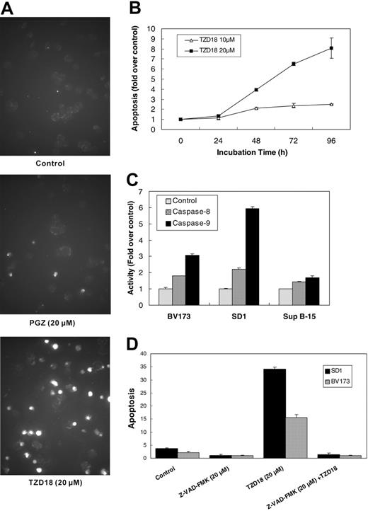 Figure 3. Effect of TZD18 on apoptosis of tested cell lines. (A) Apoptotic cells in BV173 after treatment with PGZ (20 μM) or TZD18 (20 μM) were measured by TUNEL assay, as described in “Materials and methods.” (B) SD1 cells were cultured in the presence of TZD18 (10 or 20 μM) for different hours, washed, and lysed. Apoptosis was measured by cell death ELISA, as described in “Materials and methods.” Results are expressed as the fold change of enrichment of nucleosomes in the cytoplasm of cells treated with drugs compared with controls (without treatment). Data represent the mean ± SD of triplicate experiments. (C) Cells were cultured in the presence of TZD18 (20 μM) for 4 days, washed, and lysed in lysis buffer. Caspase 8 and caspase 9 activities in the cell lysates were measured as described in “Materials and methods.” Results were expressed as the fold increase of OD values compared with control (without treatment). Figure is representative of the results of 3 independent experiments. (D) Cells were incubated in the presence of TZD18 (20 μM), Z-VAD-FMK (20 μM), or both for 4 days. Cell apoptosis was examined as described in “Materials and methods.” Apoptosis was expressed as fold change in enrichment of nucleosomes in the cytoplasm of cells treated with drugs compared with the sample with the lowest value (cells treated with Z-VAD-FMK). Results are the mean ± SD of 3 individual experiments.