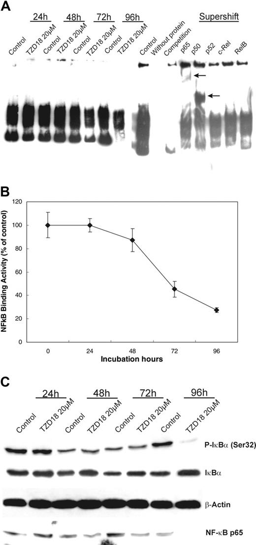 Figure 6. TZD18 inhibits NF-κB DNA-binding activities. Nuclear and cytoplasmic extracts were prepared from untreated and TZD18-treated (20 μm) SD1 cells after 24-, 48-, 72-, and 96-hour cultures. Equal amounts of protein were used for all assays. (A) EMSA analysis was performed to determine the DNA-binding capacity of NF-κB with the use of nuclear extracts. Competition analysis was performed by using a 100-fold excess of unlabeled NF-κB consensus-binding site. Antibodies specific for p50, p65, p52, cRel, and RelB were used in supershift analysis. Arrows indicate the positions of the super-shifted bands. The result is representative of 3 independent experiments. (B) Quantitative measurement of NF-κB activity was performed with nuclear proteins, as described in “Materials and methods.” NF-κB activity of TZD18-treated cells was expressed as a percentage of untreated control. Data represent mean ± SD of triplicate experiments. (C) NF-κB expression in nuclear extracts and phosphorylated I-κBα expression in cytoplasmic extracts were analyzed by Western blot. Membranes were blotted with antibodies specific for NF-κB subunit p65 and I-κBα phosphorylated at serine 32.