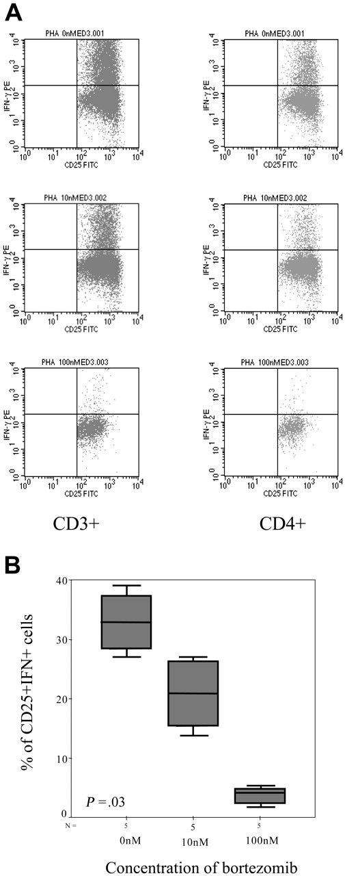 Figure 9. Intracellular IFN-γ expression. (A) Intracellular IFN-γ expression in CD3+CD25+ or CD3+CD4+CD25+ cells stimulated with PHA in the presence of different concentrations of bortezomib (1 of 5 similar experiments is shown). (B) Box plot of CD4+CD25+IFN+ cells for the different doses of bortezomib for the 5 samples analyzed. Error bars indicate 95% confidence intervals.