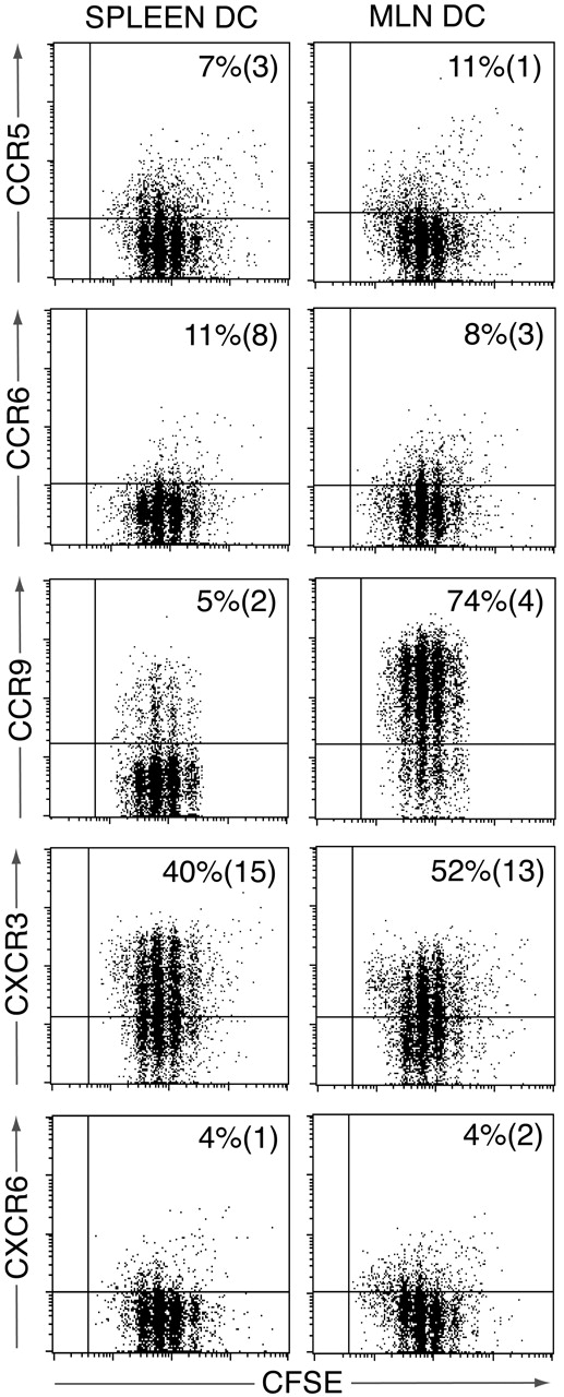Figure 3. Chemokine receptor induction on OT-II cells following activation with splenic or MLN DCs in vitro. CFSE-labeled OT-II cells were cultured with OVA-pulsed splenic or MLN DCs, and chemokine receptor expression assessed on responding OT-II cells 3.5 days later. Plots are from one representative experiment of 3 to 5 performed using pooled DCs from 5 to 10 mice/experiment. Numbers represent mean (SEM) of 3 to 5 experiments.