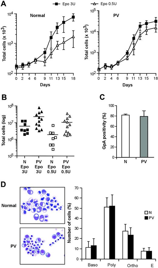 Figure 1. Proliferation and differentiation of normal and PV erythroblasts in serum-free liquid culture. (A) Growth of erythroblasts derived from peripheral blood CD34+ cells of healthy donors (normal, left panel) and patients with PV (PV, right panel) cultivated in standard erythroid medium containing 3 U/mL EPO (▪) or 0.5 U/mL EPO (▵). Data are represented as mean ± SEM of experiments performed with 5 healthy donors and 10 patients with PV. (B) Number of erythroblasts obtained at day 18 of serum-free liquid culture from normal (N) and PV (PV) CD34+ cells derived from patients and healthy controls and cultivated as described. P < .05 for N versus PV in 3 U/mL EPO, for N versus PV in 0.5 U/mL EPO, and for N 3 U/mL EPO versus N 0.5 U/mL EPO, whereas the difference between PV 3 U/mL EPO and PV 0.5 U/mL EPO was not statistically significant. (C) Glycophorin A (GpA) expression of erythroblasts at day 7 of unilineage culture derived from CD34+ cells of healthy donors (N) and patients with PV (PV). (D) May-Grünwald-Giemsa staining of normal (N) and PV (PV) erythroblasts at day 14 of erythroid differentiation in serum-free liquid culture and relative percentage of cells belonging to different erythroid differentiation stages. Baso indicates basophilic erythroblasts; poly, polychromatophilic erythroblasts; ortho, orthochromatic erythroblasts; E, erythrocytes. Data represent the mean ± SD of experiments performed with cells derived from 13 patients. Images were taken with a Nikon Eclipse E1000 upright microscope equipped with a Nikon Plan Fluorite 40 ×/1.3 NA oil immersion objective and a Nikon DXM 1200 digital camera with dedicated acquisition software (Nikon ACT-1 v. 2.1; all from Nikon Instruments, Sesto Fiorentino, Firenze, Italy). Subsequent image editing was performed with Adobe Photoshop 7.0 (Adobe Systems, San Jose, CA).