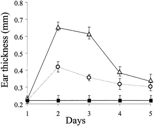 Figure 1. Increased DTH reactivity in heparanase overexpressing transgenic mice. DTH reactions were elicited in the left ear skin of hpa-tg mice and their wild-type counterparts using oxazolone. Right ears of the same animals were treated with vehicle alone. Swelling of the challenged ears is expressed in mm as the increase over the baseline thickness measured in ears treated with vehicle alone. Challenged ears in hpa-tg mice (▵) showed a 3.5-fold increase in swelling over the baseline (▪), as compared to only 2-fold increase in wild-type mice (○), 24 hours after challenge with oxazolone. The differences between the 2 groups remained statistically significant for 3 days (n = 5 per experimental condition and time point). Data are expressed as mean ± SD. The experiment was repeated twice with similar results.