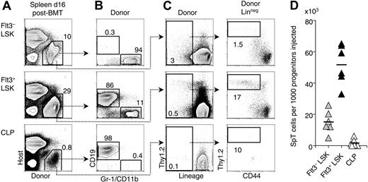 Figure 5. Post-BMT splenic T-lineage progenitors are most efficiently derived from Flt3+ LSK BM cells. Progenitor populations were sorted from Ly5SJL BM and transplanted into lethally irradiated B6 recipient mice together with 105 B6 BM cells to ensure survival. The following populations were assessed: Flt3– LSK cells, Flt3+ LSK cells, and CLPs (Lin–IL-7Rα+AA4.1+Sca-1loc-Kitlo).47,48 The number of cells injected was as follows: Flt3+ LSK, 500; Flt3– LSK, 250; CLPs, 750. These numbers were chosen to be close to or higher than the respective number of each progenitor subset in 105 BM cells. (A) Donor versus host Ly5 staining of spleen cell suspensions at day 16 after BMT. The high percentage of Ly5– cells is due to the presence of erythroid progenitors. (B) Myeloid (Gr-1/CD11b+) and B-lineage (CD19+) progeny of the sorted B6.Ly5SJL progenitor subsets. (C) Generation of T-lineage progenitors as defined in Figure 2. (D) Relative potency Flt3– LSK, Flt3+ LSK cells, and CLPs in the generation of SpT cells. Each triangle represents an individual recipient (n = 6). The mean is shown as a horizontal bar. The difference between each progenitor subset was statistically significant (P < .01, Student t test).