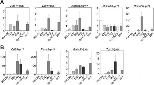 Figure 6. Expression of Notch target genes and T-lineage markers in extrathymic T-lineage progenitors. Real-time quantitative RT-PCR was performed on RNA from sorted spleen T-lineage progenitors at 2 weeks after BMT (spleen Thy1.2–CD44+ and SpT cells as defined in Figure 2). BM LSK, thymic ETP, and DN2 and DN3 and CD4+CD8+ DP cells from B6 mice were analyzed for comparison. Numbers on the y-axis are arbitrary units with the amount of mRNA found in ETPs set to 1. Data are shown as mean ± SD of 3 to 4 independent samples assessed in duplicate (except for Thy1.2–CD44+ cells, 1 sample). (A) Expression of the Notch target genes Dtx1 and Hes1, as well as the Notch receptors Notch1, Notch2, and Notch3, after normalization for Hprt1. (B) Expression of the T-lineage differentiation markers CD3ϵ and Ptcra, of the transcription factor Gata3, and of the Wnt target gene Tcf1.