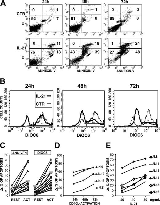 Figure 4. IL-21 induces apoptosis of CLL B cells, as detected by annexin V/PI 2-color fluorescence or by analysis of mitochondrial depolarization using DiOC6 staining. IL-21 (40 ng/mL) induces a time-dependent apoptosis of a CD40-activated (72 hours) CLL B-cell population from a representative patient (no. 13) evaluated as 2-color fluorescence analysis by PI and annexin V staining (A) or as mitochondrial depolarization by DiOC6 staining (B). (C) Summary of IL-21-induced apoptosis in either resting or CD40-activated CLL B cells studied is shown. Data are expressed as increments of apoptotic-cell percentages (by PI and annexin V staining) over spontaneous apoptotic rates using a 40-ng/mL concentration of rhIL-21 and a 72-hour stimulation. (D) CLL B cells from 4 representative patients were cocultured with CD40L-transfected cells for different time intervals before treatment with IL-21 (40 ng/mL for 72 hours) and evaluation of apoptosis as in panel A. (E) Induction of apoptosis by IL-21 is dose dependent at concentrations ranging from 20 to 80 ng/mL. Data are expressed as in panel C.