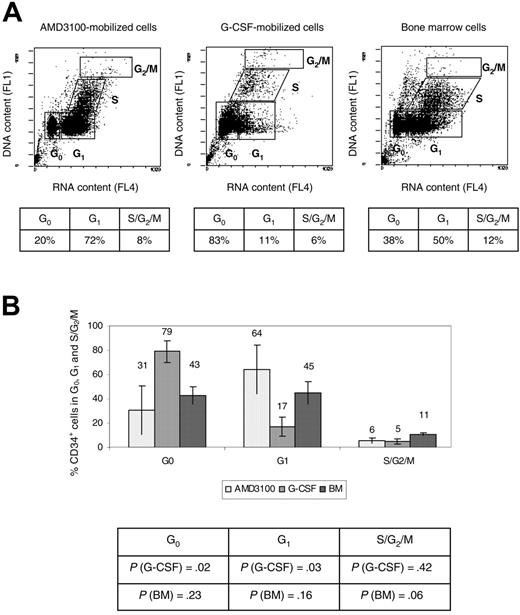 Figure 3. Cell-cycle analysis. CD34+ cells were analyzed using flow cytometry after staining with acridine orange to measure the G0, G1, S, and G2/M contents of each cell source (AMD3100-mobilized PB cells, G-CSF-mobilized PB cells, and BM) cells). (A) Representative experiment (animal RQ3636). The percentage of cells in each phase of the cell cycle is shown in the accompanying table below each flow cytometry panel. (B) Summary of the percentage of CD34+ cells in each phase of the cell cycle. The P values comparing G-CSF-mobilized or BM CD34+ cells with AMD3100-mobilized CD34+ cells are shown in the accompanying table below the summary chart.