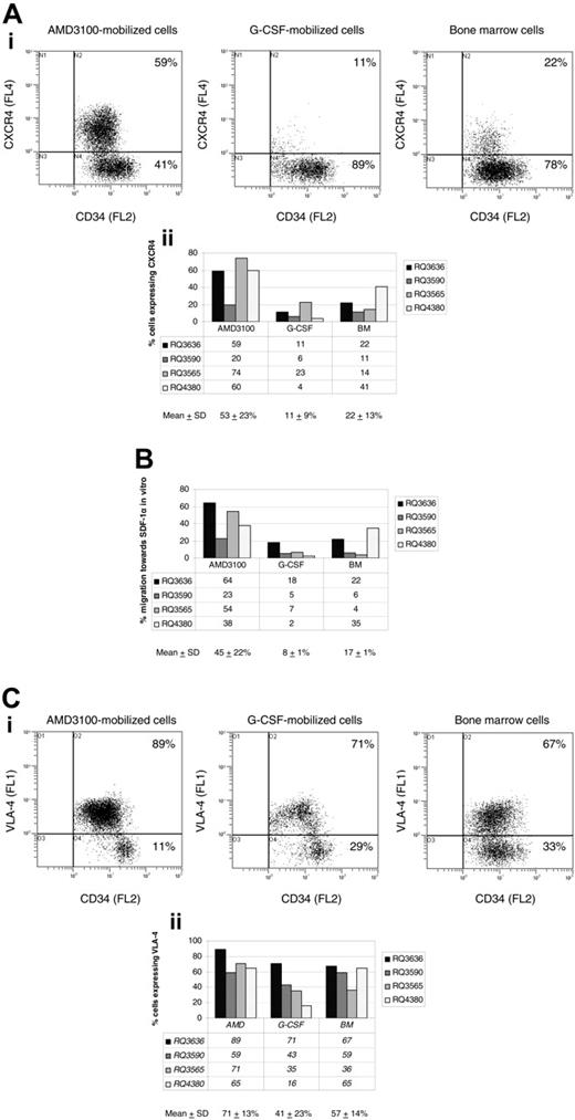 Figure 4. Phenotypic analysis and SDF-1α migration assay. CD34+ cells were obtained via bone marrow aspiration, or following mobilization with AMD3100 or G-CSF from 4 rhesus macaques. CD34+ cells were analyzed by flow cytometry following staining with monoclonal antibodies, including FITC-conjugated anti-human CD49d (VLA-4), PE-conjugated anti-human CD34, and PE-Cy5-conjugated anti-human CXCR4. (A) CXCR4 cell-surface marker expression on CD34+ cells in a representative experiment (animal RQ3636) is shown in the top panel, and a summary of CXCR4 expression on CD34+ cells in all 4 rhesus macaques is shown in the bottom panel. (B) SDF-1α migration assay. CD34+ cells from 4 rhesus macaques were incubated in transwells in the presence or absence of SDF-1α. The percentage migration of CD34+ cells toward SDF-1α in vitro is summarized for each cell population analyzed (BM, AMD3100-, and G-CSF-mobilized cells). (C) VLA-4 cell-surface marker expression on CD34+ cells in a representative experiment (animal RQ3636) is shown in the top panel, and a summary of VLA-4 expression on CD34+ cells in all 4 rhesus macaques is shown in the bottom panel. SD indicates standard deviation.