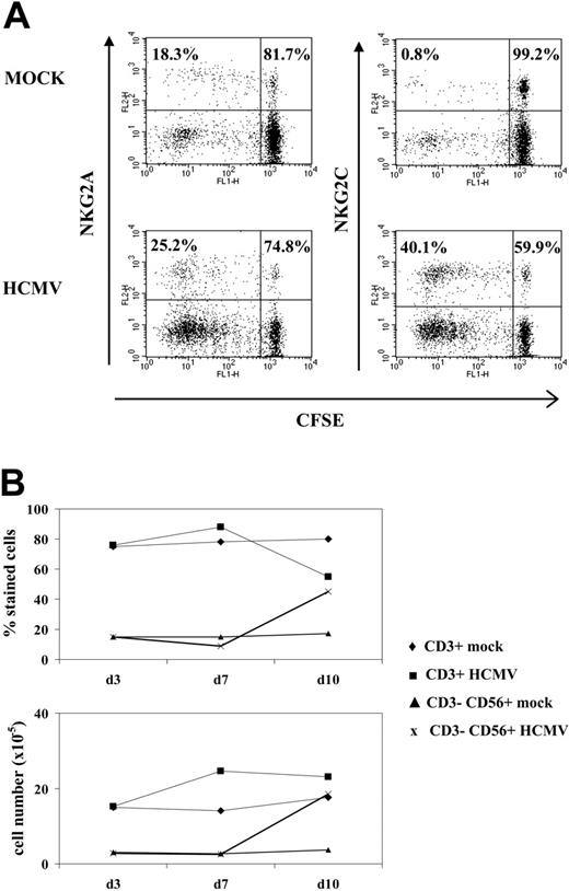 Figure 1. NK cell proliferation in response to HCMV-infected fibroblasts. (A) CFSE-labeled PBLs from an HCMV+ donor were cocultured with mock- and Towne-infected (MOI = 1) MRC-5 cells as described in “Materials and methods.” Flow cytometry analysis was carried out at day 7, after staining cells with anti-NKG2C or -NKG2A mAbs; numbers correspond to the proportions of dividing and nondividing cells in NKG2C+ and NKG2A+ populations, calculated as described in “Materials and methods.” The experiment is representative of 6 performed. (B) PBLs were stimulated with Towne-infected fibroblasts as described in panel A, and flow cytometry analysis was carried out at different time points with anti-CD3-PerCP and anti-CD56-PE, counting the numbers of recovered cells. The percentages and the calculated numbers of NK- and T-cell populations are represented.