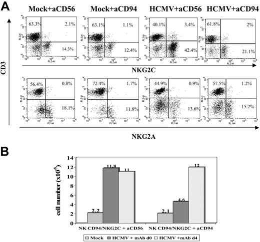 Figure 6. Anti-CD94 mAb blocks the expansion of NKG2C+ NK cells stimulated by HCMV-infected fibroblasts. (A) PBLs from an HCMV+ donor were cultured with mock- and Towne-infected (MOI = 1) MRC-5 cells. Either F(ab′)2 anti-CD94 or -CD56 mAbs (10 μg/mL) were added at day 0. Flow cytometry analysis with anti-CD3, -NKG2C, and -NKG2A mAbs was carried out at day 10. (B) The differential effects in the numbers of recovered cells in the presence of the anti-CD94 mAb added at day 0 or day 4 are compared. The data are representative of 5 experiments performed.