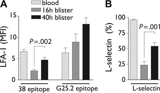 Figure 4. Expression of neutrophil adhesion molecules over time in the cantharidin skin test. CD11a epitopes (A) and L-selectin (B) expressed on neutrophils in whole blood, 16-hour blisters, and 40-hour blisters. Results represent mean ± SD from n = 7 to 9 individuals.