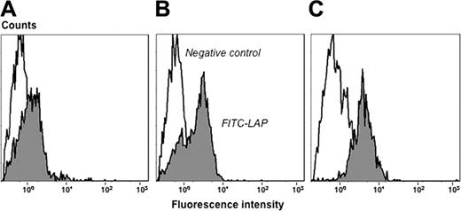 Figure 5. Leukocyte alkaline phosphatase expression on circulating granulocytes from representative subjects. (A) Healthy subject. (B) Patient with PV carrying 98% of JAK2 (V617F) mutant alleles in circulating granulocytes. (C) Healthy stem cell donor given G-CSF 24 hours before.