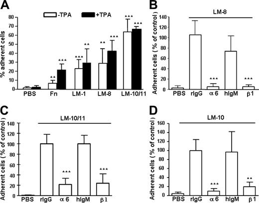 Figure 2. Adhesion of mouse BM Lin– Sca1+c-kit+ (LSK) cells to laminins and fibronectin and inhibition cell adhesion to laminins by antibodies against integrin α6 and β1 chain. (A) Adhesion of LSK cells to fibronectin (Fn), laminin-1 (LM-1), laminin-8 (LM-8), and laminin-10/11 (LM-10/11). PBS indicates cell adhesion to wells coated with PBS instead of proteins. The proteins were used at 30 μg/mL. □ indicates cell adhesion without treatment with TPA; ▪, cell adhesion after treatment with TPA. Asterisks indicate significant differences compared with cell adhesion on PBS-coated plates: *P < .05; **P < .01; ***P < .001. Results (mean ± SD) are from 2 experiments performed in triplicate. (B-D) Adhesion of LSK cells to wells coated with laminin-8 (30 μg/mL; B), laminin-10/11 (10 μg/mL; C), and laminin-10 (10 μg/mL; D) in the presence of antibodies GoH3 against integrin α6 chain (α6), Ha2/5 against integrin β1 chain (β1), or control rat or hamster monoclonal antibodies (rIgG and hIgM, respectively). The results are shown as percent cell adhesion of adhesion in the presence of the rIgG control antibody. The antibodies against integrin α6 and β1 chains significantly reduced cell adhesion to laminins, compared with respective isotype control antibodies. **P < .01; ***P < .001. Data represent mean ± SD of 2 experiments performed in triplicate.