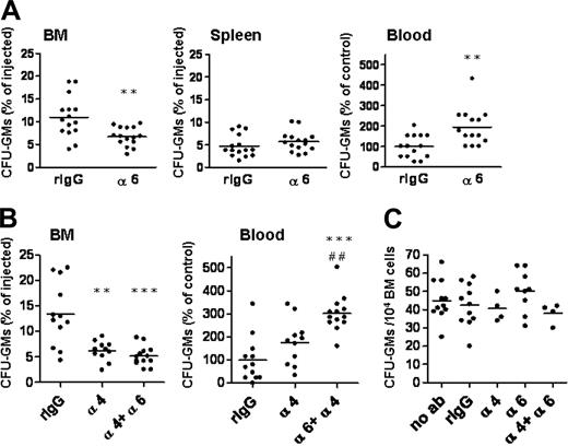 Figure 3. The anti–integrin α6 antibody inhibits homing of progenitors to BM, but does not enhance inhibition of homing mediated by the integrin α4 antibody. BM cells were incubated with function-blocking antibodies against integrin α6 (α6), integrin α4 (α4), both against integrins α6 and α4 (α6 + α4) or rat IgG2a control antibody (rIgG), and injected into lethally irradiated recipient mice. Three hours after injection, cells from BM, blood, and spleen were collected for CFU-GM assay. Data are pooled from 2 to 4 independent experiments. (A) The anti–integrin α6 antibody inhibited homing of CFU-GMs into BM, but not into spleen, and increased the number of CFU-GMs in blood. (B) The anti–integrin α4 antibody inhibited homing of CFU-GMs into BM. Incubation with both antibodies against integrin α6 and α4 chains did not further inhibit CFU-GM homing but resulted in retention of progenitors in blood. *P < .05; **P < .01; and ***P < .001, compared with results obtained with rIgG control antibody. ##P < .01 compared with results obtained with anti–integrin α4 antibody. (C) Incubation of BM cells with anti–integrin α6, anti–integrin α4, both antibodies, or control antibody did not affect growth of CFU-GMs, compared with cells not incubated with antibodies (no ab). The horizontal bars show mean values.