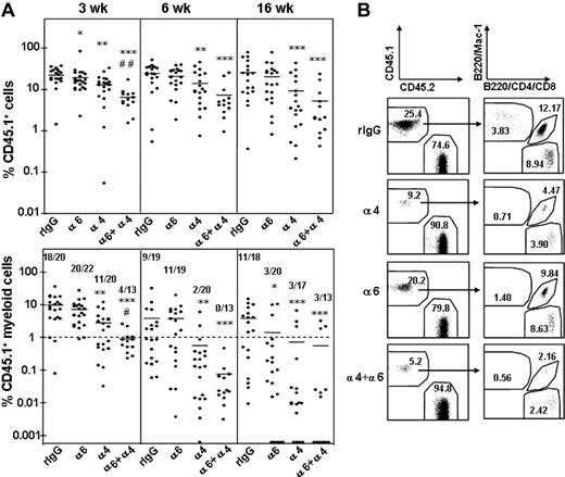Figure 5. Inhibition of HSC homing by antibodies against integrin α6 and α4. (A) Peripheral blood reconstitution of CD 45.1 cells and CD 45.1 myeloid cells at 3, 6, and 16 weeks. The CD 45.1 BM cells were incubated with rat IgG2a antibody (rIgG) or antibodies against integrin α4 (α4), α6 (α6), or both α4 and α6 (α4 + α6) before the homing and competitive repopulation assay. Data are pooled from 3 independent experiments. *P < .05; **P < .01; and ***P < .001, compared with reconstitution from cells incubated with rIgG; #P < .05 and ##P < .01, compared with reconstitution from cells treated with anti–integrin α4 antibody. The horizontal bars show mean values for each measurement. The numbers in bottom panels show the number of mice with myeloid CD 45.1 cell reconstitution more than 1% and the number of mice analyzed. (B) Representative fluorescence-activated cell sorting (FACS) dot plots showing blood reconstitution 16 weeks after secondary transplantation. The left panels show reconstitution of CD45.1 BM cells and CD45.2 competitor/recipient cells. The right panels show blood reconstitution of myeloid (Mac-1) and lymphoid (B220, CD4, CD8) cells derived from CD45.1 cells. The numbers indicate the mean percentage of cells in each fraction (n = 13-22).