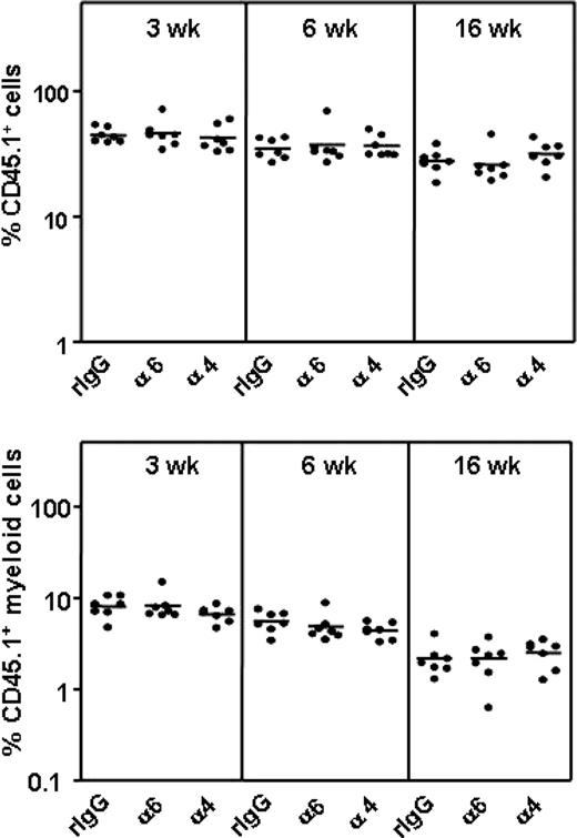 Figure 6. Anti–integrin α6 or α4 antibodies do not affect HSC survival or engraftment. CD45.1 BM cells were incubated with rat IgG isotype control antibody (rIgG), anti–integrin α6 (α6) or α4 (α) antibodies and injected into lethally irradiated CD45.1/2 mice, followed by injection of CD45.2 competitor BM cells 3 hours later. The percentages of CD45.1 nucleated cells and CD45.1 myeloid cells in blood at 3, 6, and 16 weeks after transplantation are shown. The horizontal bars indicate mean values.
