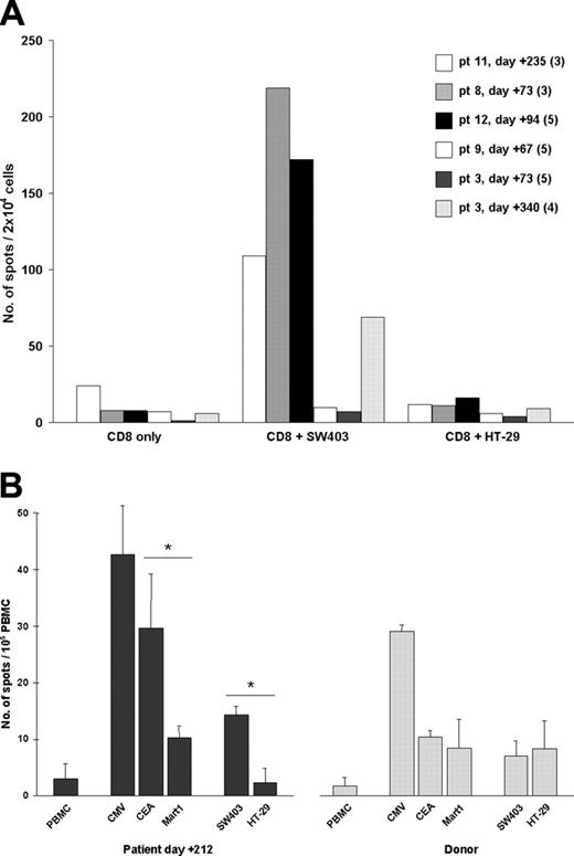Figure 4. In vitro assessment of the antitumor activity of CEA-specific T cells. (A) Purified CD8+ cells from transplant-recipient patients were sensitized in vitro and then tested in ELISPOT for IFN-γ secretion, after a minimum of 3 stimulation cycles (numbers in parentheses indicate the number of cycles after which the ELISPOT assay was performed). T cells (2 × 104) were plated in the ELISPOT plate either alone (CD8+ only) or together with 5 × 103 CRC cells, as indicated. (B) Unselected PBMCs were similarly tested, but without any prior in vitro stimulation (patient no. 11). PBMCs (1 × 105) were plated in the ELISPOT plate either alone or together with 2.5 × 104 peptide-pulsed T2 cells (CMV-pp65, CEA-Cap1-6D, or Mart1-A27L) or 5 × 103 colon cancer cells, as indicated. Results represent mean ± SD of 5 replicates. *P < .05 as determined by a 2-tailed t test for unpaired samples. SW403 and HT29 are 2 CRC cell lines: although both cell lines express CEA, only SW403 expresses HLA-A*0201.