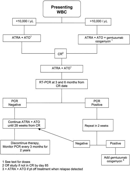 Figure 1. Treatment Schema. See text for details.