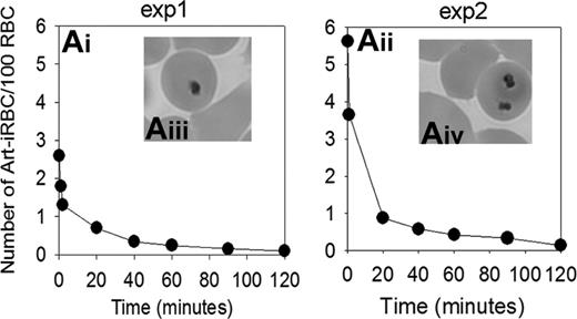 Figure 2. Kinetics of Art-iRBC in the perfusate. (Ai-iii) Art-iRBC concentration kinetics in the perfusate in 2 separate IP-spleens. The fast decrease during the first 2 minutes reflects the dilution of initial culture with uninfected RBCs just prior to perfusion. (Aiii-iv) Typical morphology of Art-iRBC containing dead parasite remnants (DPRs) on Giemsa-stained smears from the perfusate.