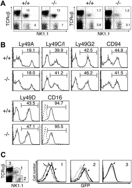 Figure 2. MIST is dispensable for development of NK and NKT cells. (A) Cells isolated from liver (left) and spleen (right) of 4- to 6-week-old MIST-deficient mice (-/-) and their littermates (+/+) were stained with the indicated antibodies and analyzed by flow cytometry. The percentages of gated cells are shown. Data are representative of 4 independent experiments. (B) Expression of inhibitory receptors as well as activating receptors on NK1.1+TCRab- NK cells from MIST-deficient mice. Histograms indicate expression of various inhibitory receptors (Ly receptors and CD94) and other activating receptors (NK1.1 and CD16) on NK cells in MIST-deficient (-/-) and wild-type NK cells (+/+). The gate used to calculate the percentage of cells expressing each receptor is shown by a horizontal line above each histogram. All histograms are representative of analyses from at least 3 mice of each genotype. (C) Flow cytometric analysis of knock-in EGFP fluorescence in spleen cells left unstimulated (arrows) or stimulated with α-GalCer (arrowheads) for 12 hours. FACS plot is shown for each set of markers, because there were no significant differences in phenotype between wild-type and MIST+/Δneo mice. For each of the gated populations indicated, histograms for EGFP fluorescence were generated. Wild-type histograms (dotted lines) were overlaid with mutant histograms (solid lines).