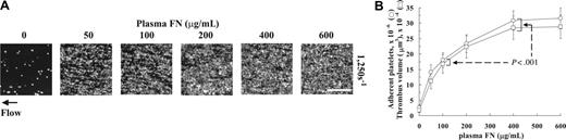 Figure 6. Effect of matched increases in the concentration of plasma fibronectin present during formation of fibrin matrices and in the perfusate on platelet thrombus formation under shear conditions. (A) Fibronectin (FN), 0 to 600 μg/mL, was present during formation of fibronectin-fibrin clots. The same concentration of plasma fibronectin was included in the perfusate. After 5 minutes, perfusion at a wall shear rate of 1250 s–1 coverslips were taken out of the chamber and washed. Microscopy was performed as described in Figure 1. Bar = 100 μm. (B) Thrombus volumes (□) and platelet numbers (○) were measured as described in Table 1. Values represent the mean ± SD (n = 4 experiments). The values at fibronectin concentrations of 400 and 600 μg/mL were significantly different from values at 100 μg/mL (P < .001 in the Dunnett test after ANOVA).