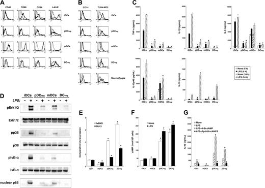 Figure 1. Expression of TLR4-MD2 complex and responsiveness to LPS in DCregs. (A, B) The expression of MHC and costimulatory molecules (A) and the receptors for LPS (B) on DC subsets or macrophages was analyzed by flow cytometry. Data are represented by a histogram in which cells were stained with the indicated mAb (thick lines) or isotype-matched control Ig (thin lines). The results are representative of 4 experiments with similar results. (C) DCs (5 × 105) were stimulated or not stimulated with LPS (1μg/mL) for 6 or 24 hours, and the culture supernatants were analyzed for cytokine production. Data were expressed as mean ± SD of duplicate samples, and the results are representative of 4 experiments with similar results. *P < .01 compared with iDCs by Student paired t test. (D) Cells (5 × 106) were stimulated or not stimulated with LPS (1μg/mL). Western blot shows the cytoplasmic expression of pErk1/2 and pp38, and pIκB-α before and 10 minutes after LPS stimulation, and the nuclear expression of p65 before and 60 minutes after LPS stimulation. The nonphosphorylated kinases and proteins (ERK1/2, p38, and IκB-α) also were analyzed and serve as the control for protein loading. Representative blots from 3 independent experiments are shown. (E) The expression of IκBNS and Bcl-3 in DCs was measured by real-time PCR. Expression of IκBNS or Bcl-3 was normalized to β-actin, and the data were expressed as comparative fold expression of IκBNS or Bcl-3 compared with iDCs. Representative data from 2 independent experiments are shown. *P < .01 compared with iDCs by Student paired t test. (F) DCs (106) were stimulated or not stimulated with LPS (1 μg/mL) for 24 hours, and the concentration of intracellular cAMP was measured. Data were expressed as mean ± SD of duplicate samples, and the results are representative of 3 experiments with similar results. *P < .01 compared with iDCs by Student paired t test. (G) DCs (5 × 105) were stimulated or not stimulated with LPS (1 μg/mL) in the presence or absence of 8-Br-cAMP (200 μM) or Rp-8-Br-cAMPS (1 mM) for 24 hours, and the culture supernatants were analyzed for IL-10 production. Data were expressed as mean ± SD of duplicate samples, and the results are representative of 3 experiments with similar results. *P < .01 compared with LPS stimulation by Student paired t test.
