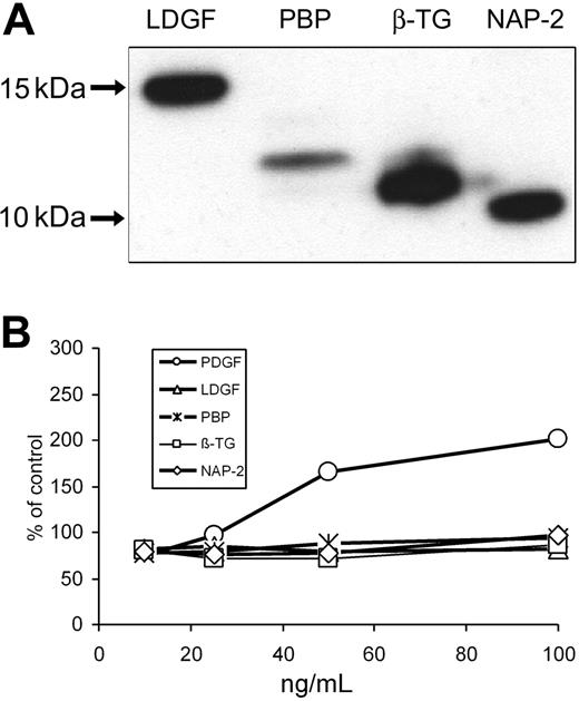 Figure 5. Recombinant CXCL7 peptides and their mitogenic properties on fibroblasts. (A) Recombinant CXCL7 peptides LDGF and PBP were prepared and purified as described in “Materials and methods.” Western analysis of recombinant LDGF and PBP along with positive controls β-TG and NAP-2 are shown. (B) Proliferative response of primary marrow-derived fibroblasts to CXCL7 peptides (LDGF, PBP, β-TG, and NAP-2) as well as PDGF was measured using the MTT assay. Results are shown as a percentage of control cultures with no added peptides. Although there was increased proliferation evident with increasing concentration of PDGF, none of the CXCL7 peptides tested stimulated proliferation. Results are shown as mean of 3 samples ± SE.