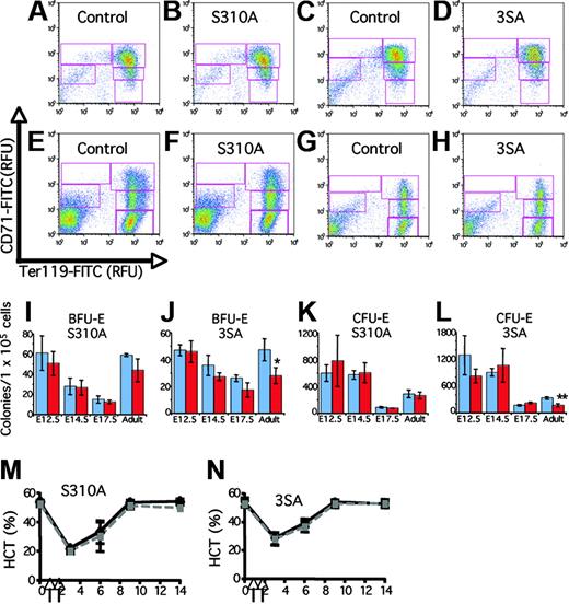 Figure 2. Analysis of Gata1S310A and Gata13SA fetal and adult hematopoiesis. (A-H) Erythroid differentiation profiles of fetal livers at 14.5 dpc (A-D) and adult bone marrow (E-H) from Gata1S310A and Gata13SA mice, and wild-type controls. Freshly isolated cells were stained simultaneously with FITC-conjugated CD71 and PE-conjugated Ter119. Shown are representative density plots. Relative number of cells in regions R1-R5 (CD71medTer119lo, CD71hiTer119lo, CD71hiTer119hi, CD71medTer119lo, and CD71loTer119hi populations, respectively) were assessed. (I-L) Erythroid progenitor cell numbers in the fetal liver at 12.5, 14.5, and 17.5 dpc and adult bone marrow of wild-type (blue) and knock-in (red) mice. Mean and standard deviation of BFU-E and CFU-E colony numbers per 1 × 105 cells are shown from representative assays performed in triplicate. Statistically significant differences are marked: *P = .05; **P = .001. (M,N) Acute anemia was induced in 12- to 15-week-old mice by the administration of phenylhydrazine (60 mg/kg body weight) on days 1 and 2 (indicated by arrows). Peripheral blood was analyzed prior to administration and on days 3, 6, 9, and 14. Hematocrits (HCT) showing the induction of anemia and recovery over 14 days is shown for knock-in mice (gray) and their wild-type littermates (black).