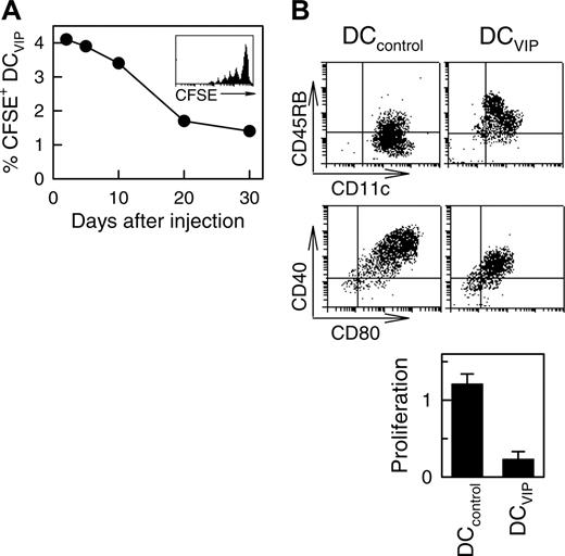 Figure 3. Long-term survival of DCVIPs in transplanted mice. Balb/c (H-2d) mice received transplants of BMS from B6 (H-2b) mice. CFSE-labeled DCVIPs were injected 2 days after transplantation. (A) The presence of CFSE-labeled DCVIPs in recipient spleens was determined at the indicated times by flow cytometry (n = 3). Inset: Histogram represents CFSE-labeling profile at day 5 after injection. (B) Ten days after injection, spleen CFSE-labeled DCVIPs were sorted, stimulated with LPS (1 μg/mL) for 24 hours, and analyzed for CD11c, CD40, CD45RB, and CD80 expression by flow cytometry. Sorted CFSE-labeled DCVIPs (104 cells) were incubated with allogeneic T cells (5 × 104) from B6 mice and proliferation was determined (n = 3). LPS-matured DCs (DCcontrols) were used as controls.