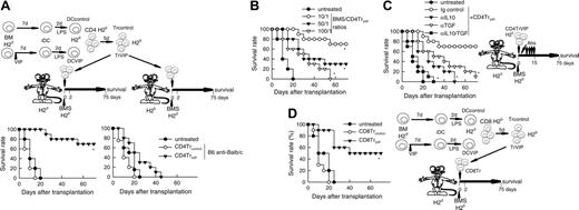 Figure 6. Tr cells generated with DCVIPs prevent acute GVHD. DCs were generated from mouse BM cells in the absence (DCcontrols) or presence (DCVIPs) of VIP and activated with LPS to induce DC maturation. CD4 and CD8 T cells (H-2b) were exposed to allogeneic (H-2d)DCcontrols or DCVIPs to generate potential Tr cells (Trcontrols and TrVIPs). (A) Balb/c mice (H-2d) received transplants of T-depleted BM cells supplemented with 1.5 × 106 spleen mononuclear cells (BMS, 1.5 × 107 cells/mouse) from B6 (H-2b) mice (left panel) and B6 mice (H-2b) received transplants of T cell-depleted BM cells supplemented with 1.5 × 106 spleen mononuclear cells (BMS, 1.5 × 107 cells/mouse) from Balb/c (H-2d) mice (right panel). Medium (untreated, •), CD4Trcontrols (○) or CD4TrVIPs (▾) (H-2b) were injected (1.5 × 106 cells/mouse) in both recipients 2 days after allogeneic transplantation, and survival was monitored (10 animals/group). *P < .01 versus untreated recipients. (B) The effect of CD4TrVIPs is dose-dependent. Balb/c mice (H-2d) received transplants of T-depleted BM cells supplemented with 1.5 × 106 spleen mononuclear cells (BMS, 1.5 × 107 cells/mouse) from B6 (H-2b) mice and CD4TrVIPs (H-2b) were injected in recipients together with transplantation at different numbers: 1.5 × 106 cells, BMS/TrVIPs ratio of 10:1 (○); 3 × 105 cells, BMS/TrVIPs ratio 50:1 (▾); or 1.5 × 105 cells, BMS/TrVIPs ratio 100:1 (▿). Untreated control mice (•, n = 10). *P < .01 versus untreated recipients. (C) Balb/c mice that were (•) or that had received injections of CD4TrVIPs and been treated with control immunoglobulin (○), anti-IL-10 (▾), anti-TGF-β (▿), or anti-IL-10 plus anti-TGFβ (▪) antibodies after BMS B6 transplantation (n = 10). *P < .01 versus control immunoglobulin-treated CD4TrVIPs recipients. (D) Balb/c mice (H-2d) were given transplants of T cell-depleted BM cells supplemented with 1.5 × 106 spleen mononuclear cells (BMS, 1.5 × 107 cells/mouse) from B6 (H-2b) mice. Recipients were treated with medium (untreated, •), CD8Trcontrols (○) or CD8TrVIPs (▾) (5 × 106 cells) at time of allogeneic transplantation and survival was monitored (5 animals/group). *P < .01 versus untreated recipients.