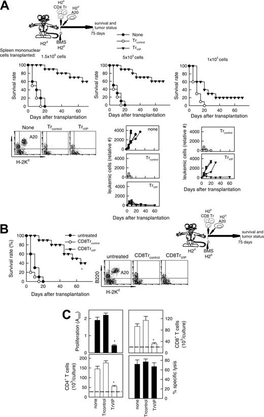 Figure 7. GVL effect is maintained in the presence of TrVIPs. (A) Balb/c mice (H-2d) were given transplants of T cell-depleted BM cells (1.5 × 107) supplemented with different numbers (1.5 × 106 cells, left panels; 5 × 105 cells, middle panels; 1 × 105 cells, right panels) of spleen mononuclear cells from B6 (H-2b) mice. GVL effect was induced by injecting A20 leukemic cells (H-2d) into recipients at time of BMS transplantation. Recipients were treated at time of transplantation with different numbers of CD4Trcontrols (○) or CD4TrVIPs (▾) (H-2b) (1.5 × 106 cells, left panels; 5 × 105 cells, middle panels; 1 × 105 cells, right panels) generated in the presence of DCcontrols or DCVIPs (H-2d). Mice that received injections of A20 cells alone were used as controls (none, •). Survival was monitored and tumor growth/elimination was assessed by the presence of A20 cells in blood detected by coexpression of B220 and H-2Kd and by size (6-10 animals/group). P < .01 untreated recipients versus any TrVIPs group. (B) GVHD was induced in recipient Balb/c (H-2d) mice by allogeneic transplantation of BMS from B6 (H-2b) mice. GVT effect was induced by injecting A20 leukemic (H-2d) cells into recipients mice at time of BMS transplantation. At time of transplantation, recipients were treated with CD8Trcontrols (○) or CD8TrVIPs (▾) generated by coculture with DCcontrols or DCVIPs. Mice that received injections of A20 cells alone were used as controls (untreated, •). Recipients were monitored for survival and leukemia growth/elimination (5-10 mice/group). *P < .01 versus untreated recipients. (C) TrVIPs suppress CD4 and CD8 T-cell expansion but not cytotoxicity activity of CD8 T cells against leukemic cells. T cells (105) isolated from B6 (H-2b) mice were cultured with allogeneic mDCs (104) from Balb/c (H-2d) mice in the absence (none) or presence of CD4Trcontrols or CD4TrVIPs (H-2b) (3 × 104) generated in the presence of DCcontrols or DCVIPs from Balb/c mice. After 5 days, the proliferative response and absolute cell number of CD4 and CD8 T cells in cultures were determined by flow cytometry. CD4 and CD8 T-cell numbers were the same in all the treatment groups at initiation of culture (dashed lines). CD8 T cells (5 × 104) were reisolated by flow cytometry from the cultures and tested for A20 tumor cytolysis at an E/T ratio of 10:1. Each result is the mean ± SD of 4 experiments performed in duplicate. *P < .01 versus untreated recipients.