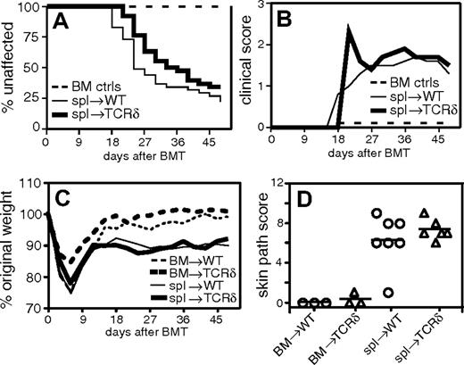 Figure 1. γδ T-cell-deficient recipients do not have increased incidence or severity of GVHD. Combined data from 3 experiments. On day 0, BALB/c (H-2d) recipient mice were lethally irradiated and reconstituted with 8 × 106 T-cell-depleted B10.D2 (H-2d) bone marrow (BM) cells alone (n = 28, both recipient types) or BM plus 107 B10.D2 spleen cells (spl): wild-type (WT) recipients (n = 41) or TCRδ-/- recipients (n = 38). (A) Incidence of clinical skin GVHD. (B) Clinical skin score. Average clinical score for mice affected with GVHD (unaffected mice are excluded). BM control mice did not get GVHD and are represented on the graph as scoring 0. (C) Weight loss. (D) Pathologic skin disease. Representative mice were killed for pathologic analysis, and histologic cutaneous GVHD was scored by a dermatopathologist blinded to experimental groups.