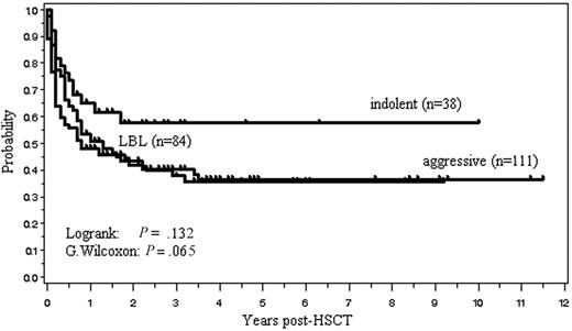 Figure 3. Overall survival stratified according to the clinical subtype. Indolent lymphoma included all grades of FL and extranodal marginal zone B-cell lymphoma of mucosa-associated lymphoid tissue. Aggressive lymphoma included all lymphomas except for indolent and lymphoblastic lymphoma (LBL).