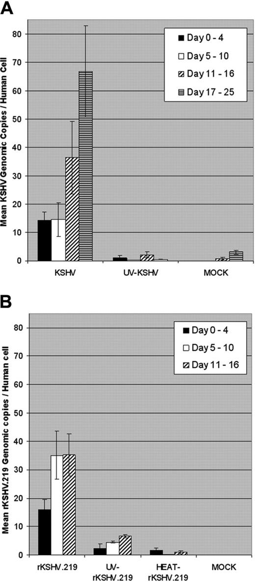 Figure 1. Quantitation of KSHV and rKSHV.219 infection of CD34+ cells cultured in vitro. (A) CD34+ HPCs were infected with wild-type KSHV or UV-irradiated KSHV (UV, 10 μW/cm2 for 1 hour) (100 viral genome equivalents per cell) or were mock-infected. Infected CD34+ HPCs (5 × 106 cells) were cultivated in IMDM supplemented with 10% FBS at 37°C, 5% CO2 for up to 25 days. Cell aliquots were collected daily, and DNA was extracted and analyzed by RQ-PCR using KSHV KS330233 (ORF 26 minor capsid protein, 233 bp) and human β-globin (240 bp) primers. KSHV genomic copy number was normalized to 0.5 × β-globin copy number, representing one human cell. Bars represent mean KSHV genomic copies per human cell at indicated periods after infection, and error bars represent standard error of the mean (SEM). (B) CD34+ HPCs were infected with rKSHV.219, UV-irradiated rKSHV.219 (UV, 10 μW/cm2 for 1 hour), heat-inactivated rKSHV.219 (HEAT, 65°C for 1 hour) (600 viral genome equivalents per cell), or mock-infected. Infected CD34+ HPCs were cultivated, cell aliquots collected, and DNA was extracted and analyzed by RQ-PCR as in panel A. Infected CD34+ HPCs were cultivated for up to 16 days. Bars represent mean rKSHV.219 genomic copies per human cell at indicated time periods after infection, and error bars represent SEM.