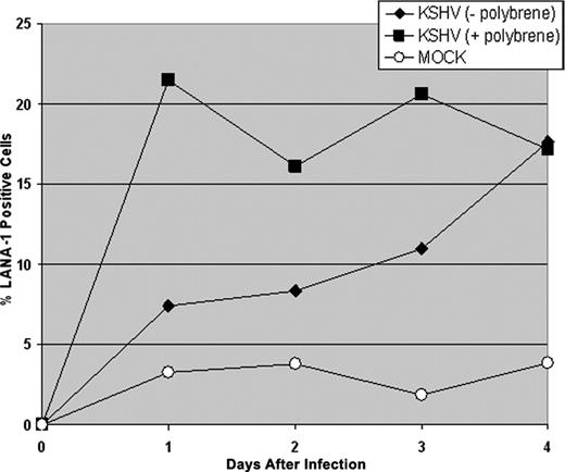 Figure 3. KSHV infection of CD34+ HPCs in the absence of polybrene. CD34+ HPCs were infected with KSHV in the presence or absence of polybrene. CD34+ HPCs infected with KSHV were permeabilized and incubated with primary rat monoclonal antibody (mAb) directed against KSHV LANA-1 followed by incubation with AMCA-labeled rabbit anti-rat IgG secondary antibody. Samples were analyzed by flow cytometry for the presence of LANA-1, and cells were gated according to patterns demonstrated by staining with secondary antibody alone.