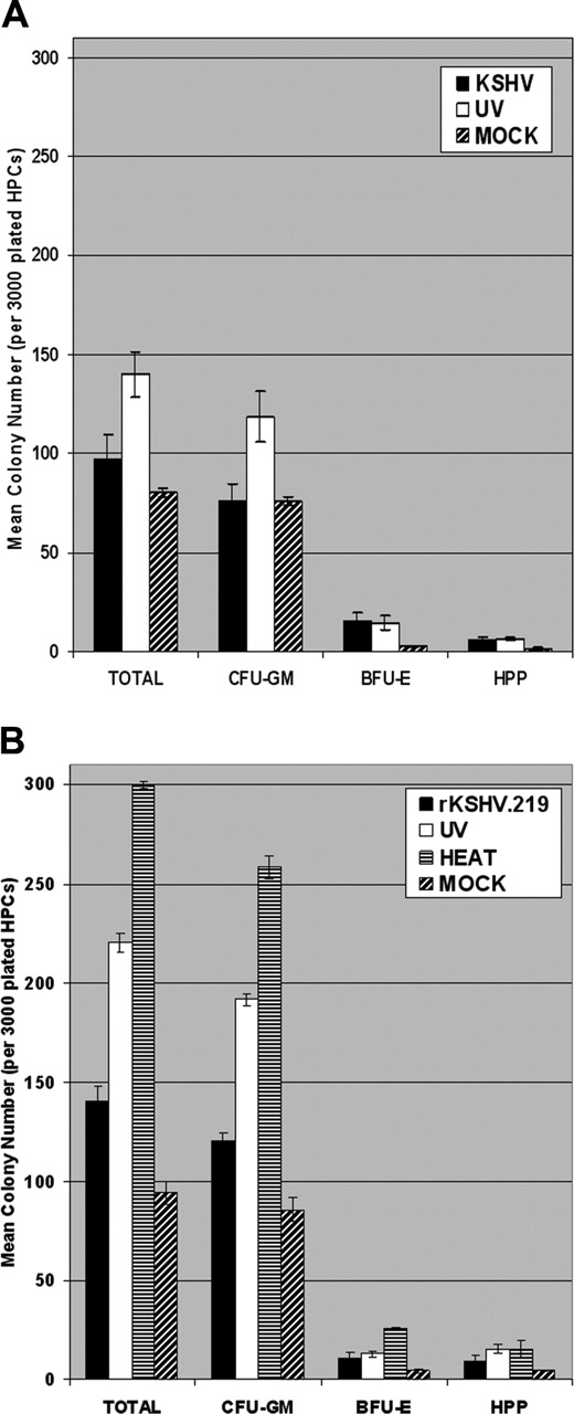 Figure 4. KSHV and rKSHV.219 infection suppresses clonogenic colony-forming potential of CD34+ HPCs in vitro. (A) CD34+ HPCs were infected with KSHV or with UV-irradiated KSHV (10 μW/cm2 for 1 hour). Cells were washed 3 times with PBS and plated in 2 mL MethoCult H4433 medium (3000 cells per 35mm × 10mm plate) in triplicate at 4 hours after infection. Colonies were visually scored and enumerated at 12 to 15 days after plating. Experiments were repeated 3 times using purified CD34+ HPCs from different donor tissues. The mean CFU-GM, BFU-E, HPP, and total colony numbers are presented. Statistically significant differences in the mean total colony numbers between KSHV and UV-KSHV (P = .021) groups were determined by single-tail ANOVA analysis. (B) CD34+ HPCs were infected with rKSHV.219, UV-irradiated rKSHV.219 (10 μW/cm2 for 1 hour), or heat-inactivated rKSHV.219 (65°C for 1 hour). Infected HPCs were washed and plated in MethoCult H4433 as described in panel A. Colonies were visually scored at 12 to 15 days after plating and used to calculate mean CFU-GM, BFU-E, HPP, and total colony numbers. Statistically significant differences in the mean total colony numbers between the rKSHV.219, UV-rKSHV.219, and HEAT-rKSHV.219 (P = 2.31 × 10-6) groups were determined by single-tail ANOVA analysis. Experiments were repeated twice. Error bars represent standard error of the mean (SEM).