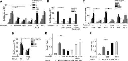 Figure 2. Role of A2a receptor in adenosine-induced heterologous desensitization of RANTES receptors. (A) Effects of adenosine (0.1 mM), NECA (10 μM), CGS21680 (2 μM), ZM241385 (2 μM)/NECA (10 μM), and CPA (0.3 μM) on RANTES-induced chemotaxis of human monocytes. (B) Effects of CGS21680 at 2 μM and 0.2 μM, CGS21680 (0.2 μM)/ZM241385 (0.1 μM) on RANTES-induced chemotaxis of human monocytes. (C) Effects of CGS21680 (2 μM) on RANTES (RAN), MCP-1 (MCP), and fMLF-induced chemotaxis of human monocytes. (D) Effects of CGS21680 (2 μM) on CXCL8/IL-8-induced chemotaxis of human neutrophils. (E) Effects of adenosine (Ade, 0.1 mM), NECA (10 μM), CGS21680 (2 μM), ZM241385 (2 μM)/NECA (10 μM), and CPA (0.3 μM) on RANTES-induced (50 ng/mL) Ca2+influx in human monocytes. (F) Effects of CGS21680 (2 μM) on MCP-1- and fMLF-induced Ca2+influx (*P < .001, by 2-way ANOVA analysis; **P < .02, Student t analysis).