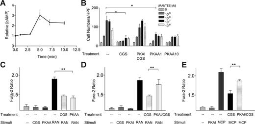 Figure 3. Role of PKA in A2a receptor-mediated heterologous desensitization of RANTES receptors. (A) Effect of CGS21680 on cAMP accumulation in human monocytes. (B) Effect of a potent PKA inhibitor, cAMPs, Rp-isomer, TEA salt, at 100 μM (PKAI), on the inhibitory effects of CGS21680 (2 μM) on RANTES-induced chemotaxis. Effect of the potent PKA activator, N6-benzoyl-cAMP, at 1 and 10 μM (PKAA), on RANTES-induced chemotaxis in the absence of CGS21680. (C) Effects of PKAA at 1 μM on RANTES-induced Ca2+ influx. (D) Effects of a PKA inhibitor, cAMPs, Rp-isomer (PKAI), at 100 μM on CGS21680-induced inhibitory effects on RANTES-mediated Ca2+ influx. (E) Effects of a PKA inhibitor, cAMPs, Rp-isomer (PKAI), at 1 μM on CGS21680-induced inhibitory effects on MCP-1-mediated Ca2+-influx. *P < .001, by 2-way ANOVA analysis; **P < .03, by Student t analysis.