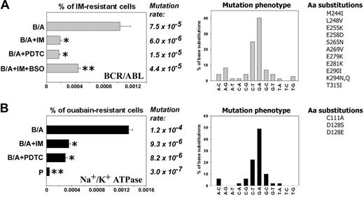 Figure 2. Antioxidants prevent BCR/ABL-induced ROS-mediated mutations in BCR/ABL kinase domain and mouse α1 subunit of Na+/K+ ATPase in vitro. 32Dcl3 parental (P-early) and 2-week-old 32Dcl3-p210BCR/ABL cells (B/A-early, no mutations detected in BCR/ABL kinase and mouse α1 Na+/K+ ATPase) were cultured for 8 weeks in medium supplemented with IL-3 (B/A) and IM (B/A + IM), PDTC (B/A + PDTC), or IM and BSO (B/A + IM + BSO). The percentage of IM-resistant cells (A, % of IM-resistant cells) and ouabain-resistant cells (B, % of ouabain-resistant cells) was determined by clonogenic assay performed in the absence of IL-3 and the presence or absence of IM or ouabain, respectively. Mutation rate and mutation phenotype in BCR/ABL kinase and mouse α1 subunit of Na+/K+ ATPase are shown in panels A and B, respectively. Mutations leading to previously described amino acid substitutions are listed (Aa substitutions in panels A and B, respectively). *P < .05 compared with B/A group; **P < .05 compared with other groups.