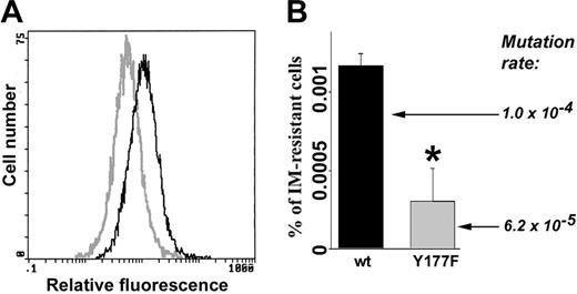 Figure 3. Cells expressing BCR/ABL(Y177F) mutant displayed reduced ROS and mutagenic activity. Freshly transformed p190BCR/ABL wild-type (wt) and p190BCR/ABL(Y177F) cells were cultured continuously for 8 weeks in the presence of IL-3. (A) ROS was measured by fluorescence. (B) The percentage of IM-resistant cells (% of IM-resistant cells) was determined by clonogenic assay performed in the absence of IL-3 and the presence or absence of IM. Mutation rate in BCR/ABL kinase is shown. *P = .002 compared with wild-type group.