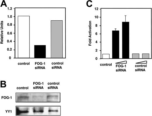 Figure 5. Inhibition of FOG-1 expression by siRNA resulted in upregulation of β-chain promoter activity. (A) Quantification of FOG-1 mRNA in siRNA transfectants using real-time RT-PCR. Ba/F3 cells (2 × 106) were transfected with 5 μL of 20 μM FOG-1 siRNA or shuffled control siRNA. After 20-hour culture, total RNA was extracted from each transfectant, and the amount of FOG-1 and GAPDH mRNAs was analyzed by ABI7500. FOG-1 mRNA levels are represented as the ratio to that of control (without siRNA). (B) Western blot analysis of transfectants. After 44 hours of culture, lysates (5 × 105 cells per lane) were analyzed using anti-FOG-1 or anti-YY1 Abs. (C) Transcription activity of the β-chain promoter. One microgram of reporter plasmid was introduced into Ba/F3 cells with or without 2.5 or 5 μL of 20 μM siRNA or shuffled control siRNA. The ratio of luciferase activity of each transfectant to that of control transfectant (without siRNA) was represented as fold activation.