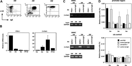 Figure 6. Binding of FOG-1 and GATA-1 to β-chain promoter in BMMCs at different developing stages. (A) Expression profile of c-kit and FcϵRI analyzed by flow cytometry. 0W indicates freshly prepared Lin- cells; 2W, immature BMMCs developed from Lin- cells after 2-week culture; and 6W, mature BMMCs developed from Lin- cells after 6-week culture. (B) Transcription levels of FOG-1 and β-chain during BMMC development. The mRNA levels of FOG-1 and β-chain in different developing stages of BMMCs and PT18 were measured by quantitative PCR and are represented as the ratio to that of Lin- (0W). Data are represented as the average ± SD of triplicate samples. (C) FOG-1 and GATA-1 in vivo binding to β-chain promoter. Binding between β-chain promoter (-197/+128) and FOG-1 or GATA-1 was analyzed by ChIP assay using anti-FOG-1, anti-GATA-1, or each isotype control Ab. The GAPDH gene served as control. (D) Quantitative analysis of FOG-1 and GATA-1 binding to β-chain gene by ChIP assay using real-time PCR. ▪ indicates anti-FOG-1 Ab; ▨, goat IgG (control of anti-FOG-1 Ab); ▦, anti-GATA-1 Ab; □, rat IgG (control of anti-GATA-1 Ab). The results are expressed as mean ± SD for 2 PCRs with duplicate samples on each 2 independent ChIPs. Relative input units are calculated from Ct values as described in “ChIP assay.”