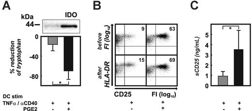 Figure 5. Monocyte-derived DCs retain the expression of functional IDO and CD25 after removal of PGE2 and maturation signals. (A) IDO protein expression and enzymatic activity as measured by tryptophan levels 24 hours after washout (6 independent experiments). Black bars represent PGE2-treated DCs; mean ± standard deviation of all experiments is shown. *P < .05. (B) Surface expression of CD25 on mature DCs before and 24 hours after washout. One representative experiment of 4 is shown. (C) Production of soluble CD25 as determined by ELISA from supernatants after washout. Shown here is the mean ± SD of 6 independent experiments. Black bars represent PGE2-treated DCs; mean ± standard deviation of all experiments is shown. *P < .05.