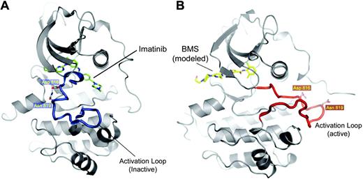 Figure 4. Ribbon representations of KIT. (A) The crystal structure of an inactive conformation of KIT bound to imatinib (green) is shown.7 The activation loop, shown in the inactive state, is depicted in blue. The positions of D816 and N819 are shown as well as the hydrogen bond formed between these residues, which stabilizes the inactive conformation. (B) The active conformation of KIT is shown, with dasatinib (yellow) modeled into the active site. The activation loop (red) is depicted in the active conformation.