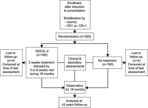 Figure 1. Study scheme.
