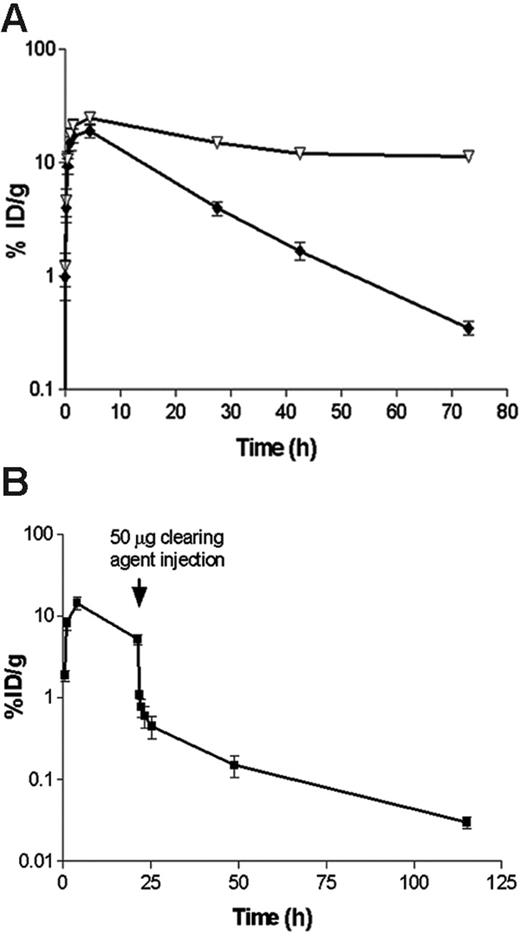 Figure 2. Pharmacokinetic and blood-clearance studies. (A) Whole-blood clearance of 1.4 nM (300 μg) 131I-labeled 1F5 Ab-SA chemical conjugate (▿) or 1.4 nM (245 μg) 125I-labeled 1F5 (scFv)4SA, each injected intraperitoneally into athymic BALB/c mice (n = 5/group). (B) The effect of a biotinylated polymeric, N-acetyl-galactosamine-containing CA, on circulating 125I-1F5 (scFv)4SA FP. 125I-1F5 (scFv)4SA (1.4 nM) was injected intraperitoneally into 5 BALB/c athymic mice at time 0 hours. The CA (50 μg; 5.8 nM intraperitoneally) was injected 20 hours after the labeled FP. In each experiment, serial blood samples were obtained from the retro-orbital venous plexus at the times indicated after the injection of each Ab-SA construct and analyzed by gamma counting. Results are representative of 3 experiments.